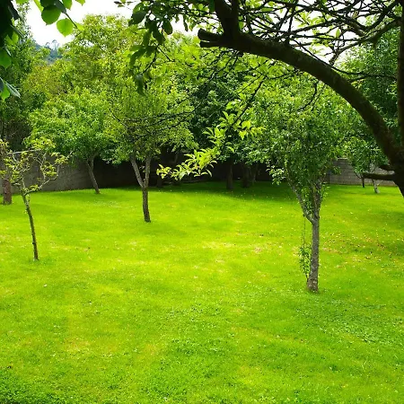 Casa Camelia *