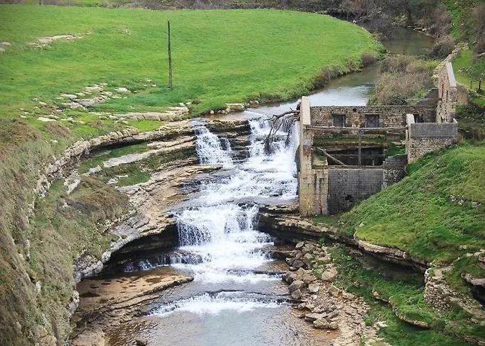 Casa Camelia اورينيا